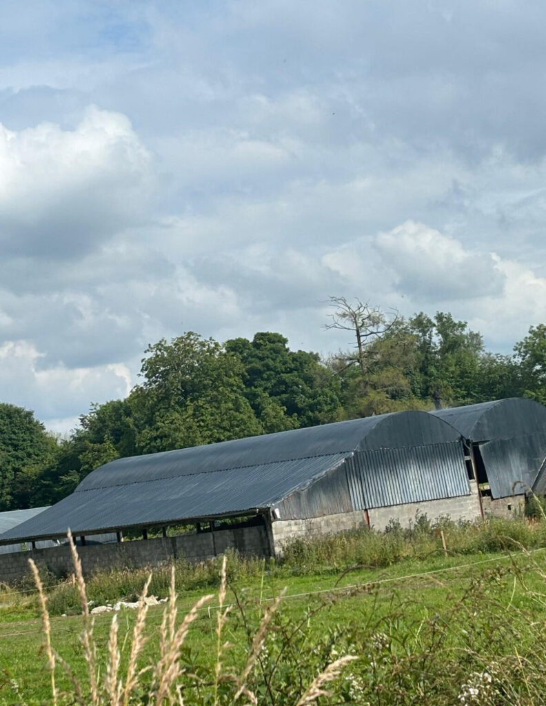 Agricultural Painters in County Armagh
